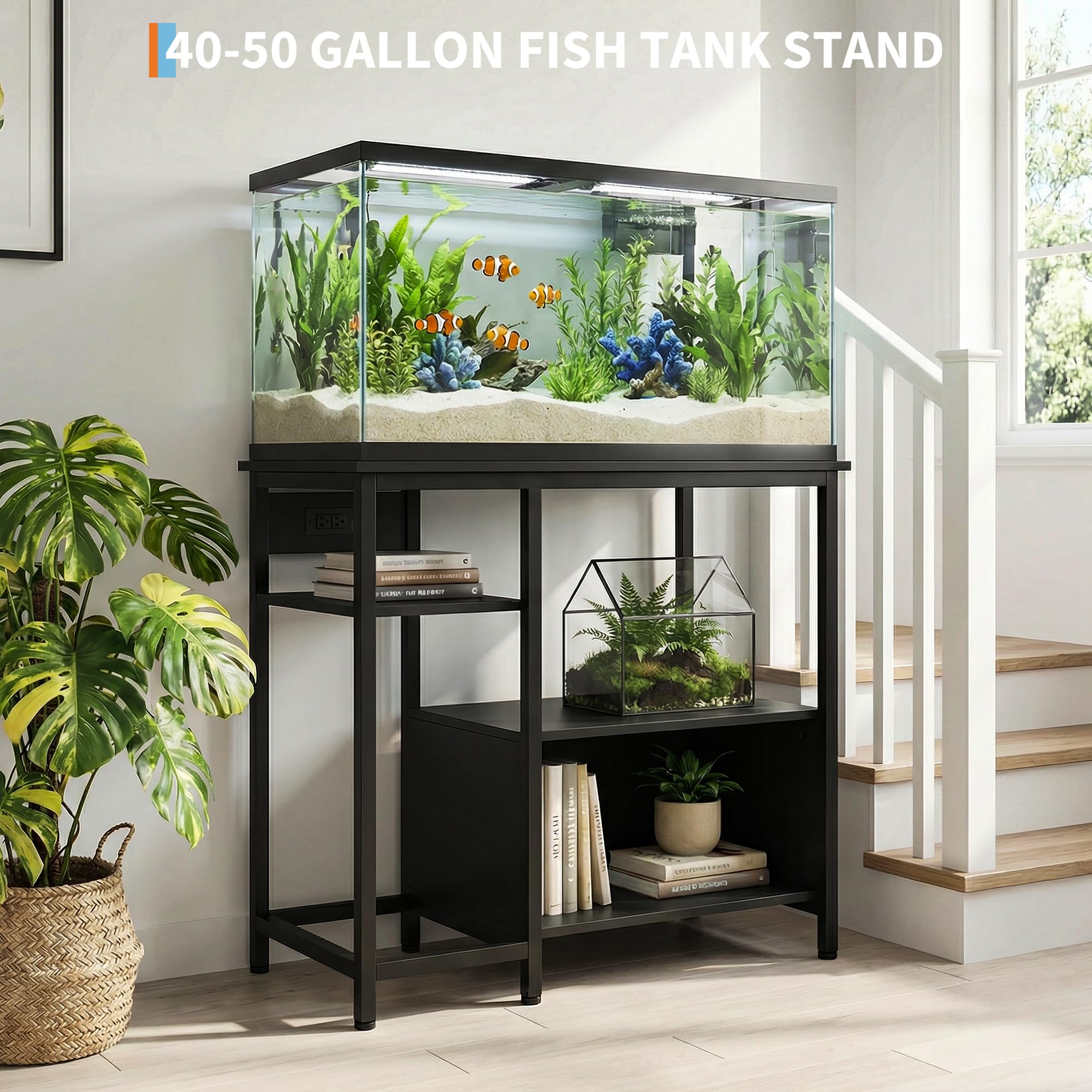 Soporte para terrario de reptiles y acuario de agua dulce